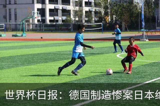 世界杯日报：德国制造惨案日本绝平荷兰 马宁首轮无缘出场